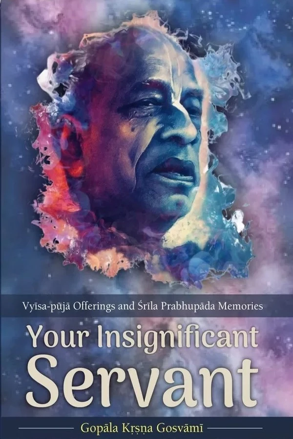 Your Insignificant Servant (English) | Paperback Edition